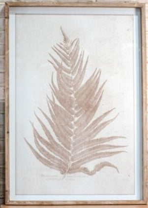 Fern Pattern Wall Art