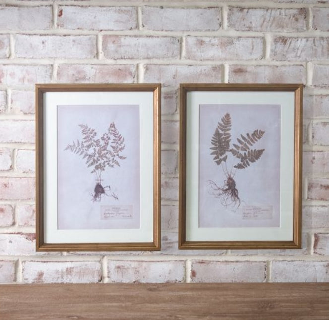 Fern Canvas Wall Art, The Feathered Farmhouse