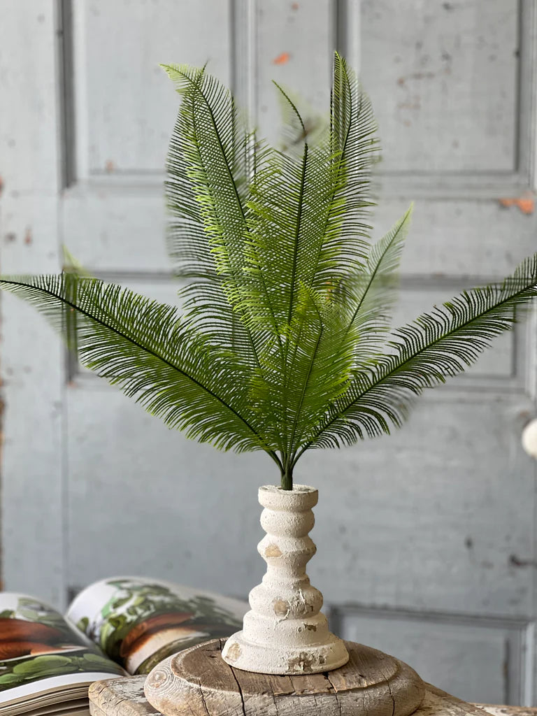 Quill Fern Bush, Feathered Farmhouse