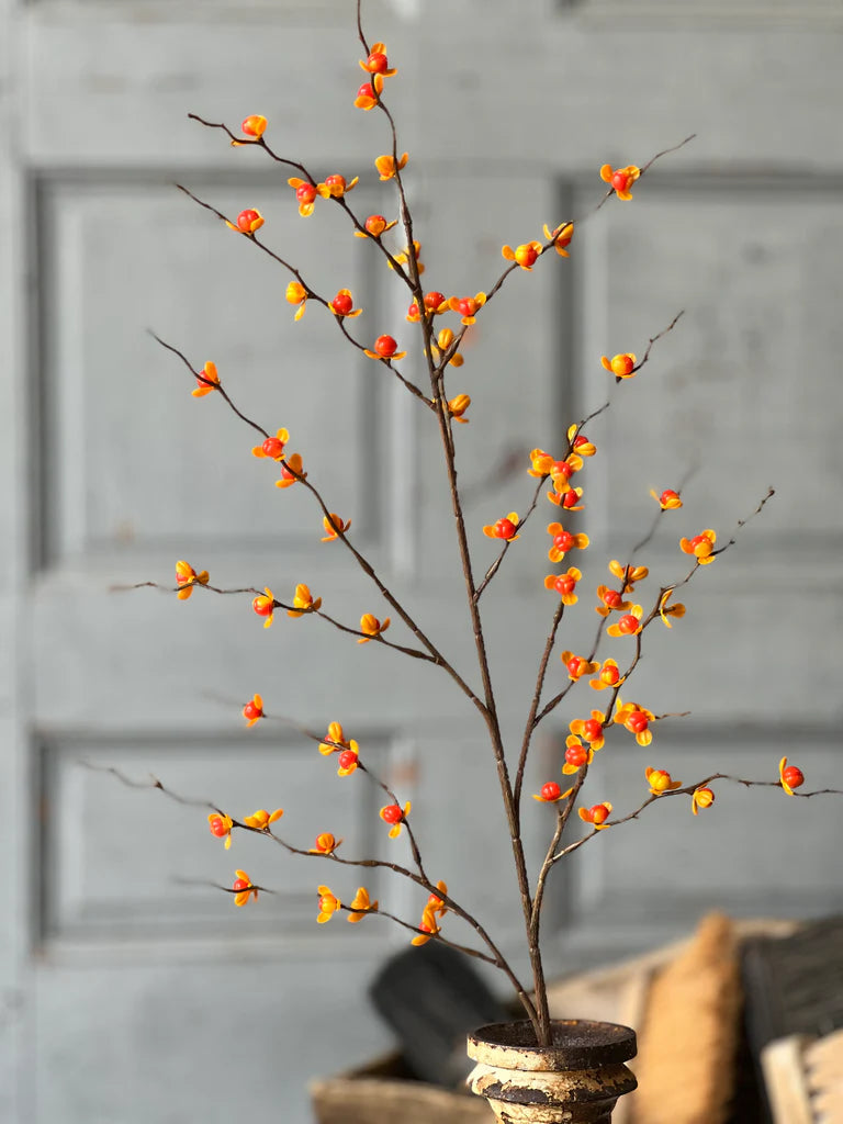 Briery Bittersweet Spray, Feathered Farmhouse