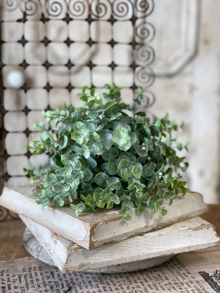 Greenbriar Eucalyptus Orb, The Feathered Farmhouse