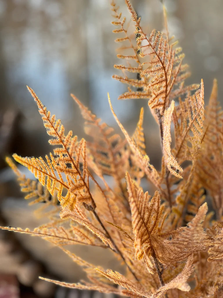 Fernbank Bush, Feathered Farmhouse