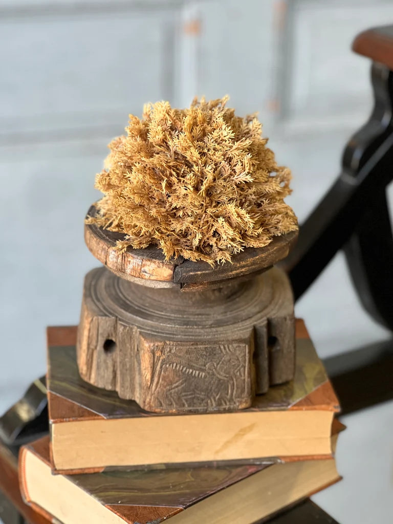 Sungold Orb, Feathered Farmhouse