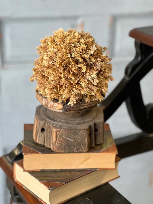 Sungold Orb, Feathered Farmhouse