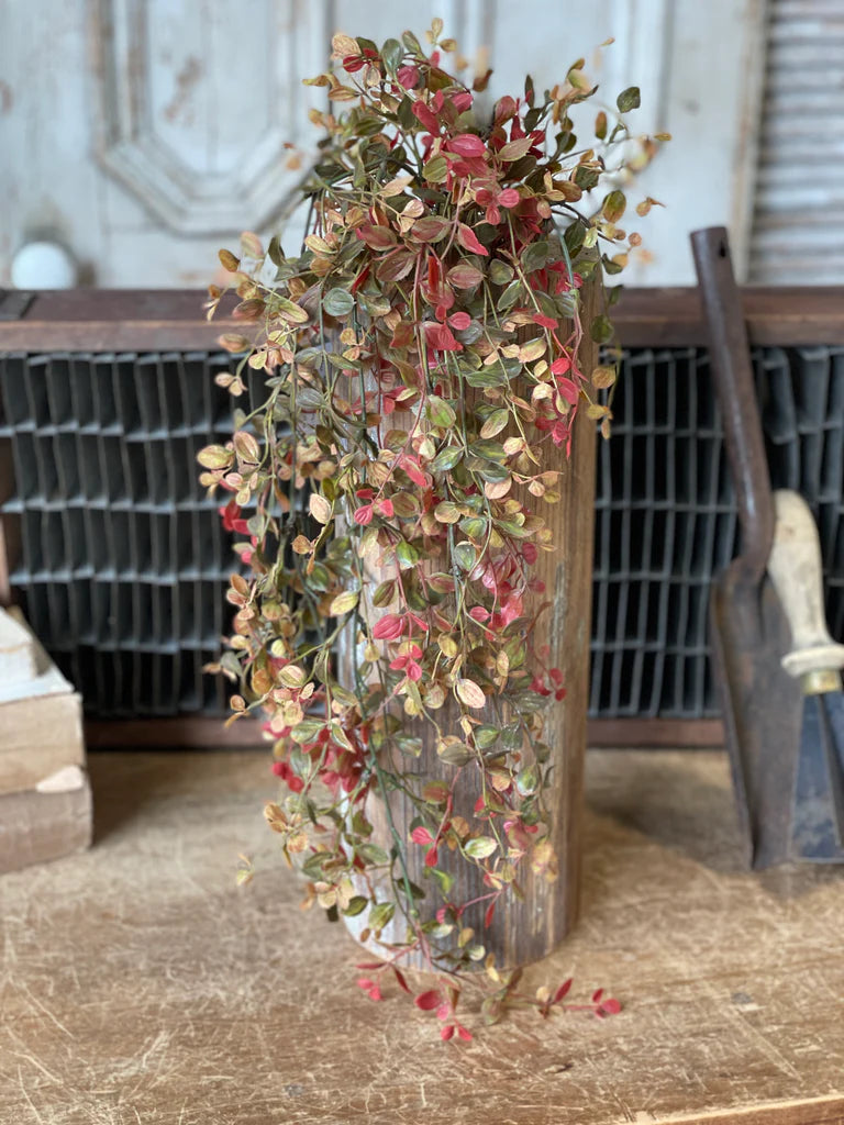 Bog Pimpernel Hanging, The Feathered Farmhouse