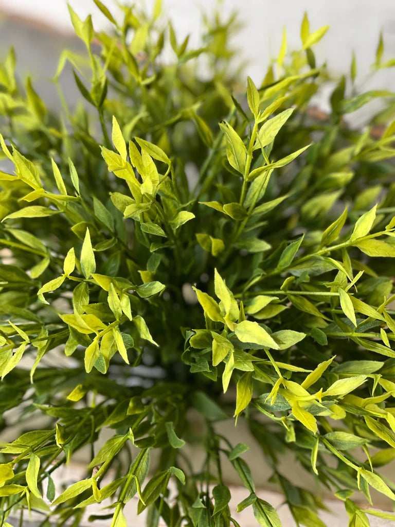 Emerald Ash Orb, The Feathered Farmhouse