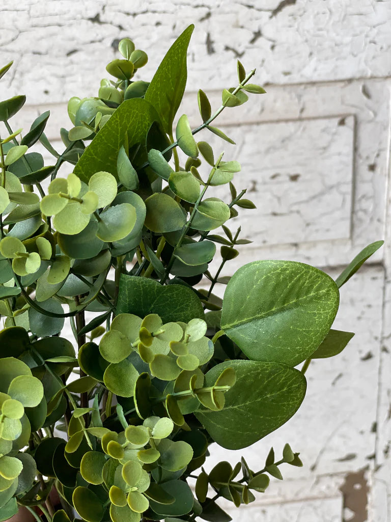 Ashford Eucalyptus Orb, The Feathered Farmhouse