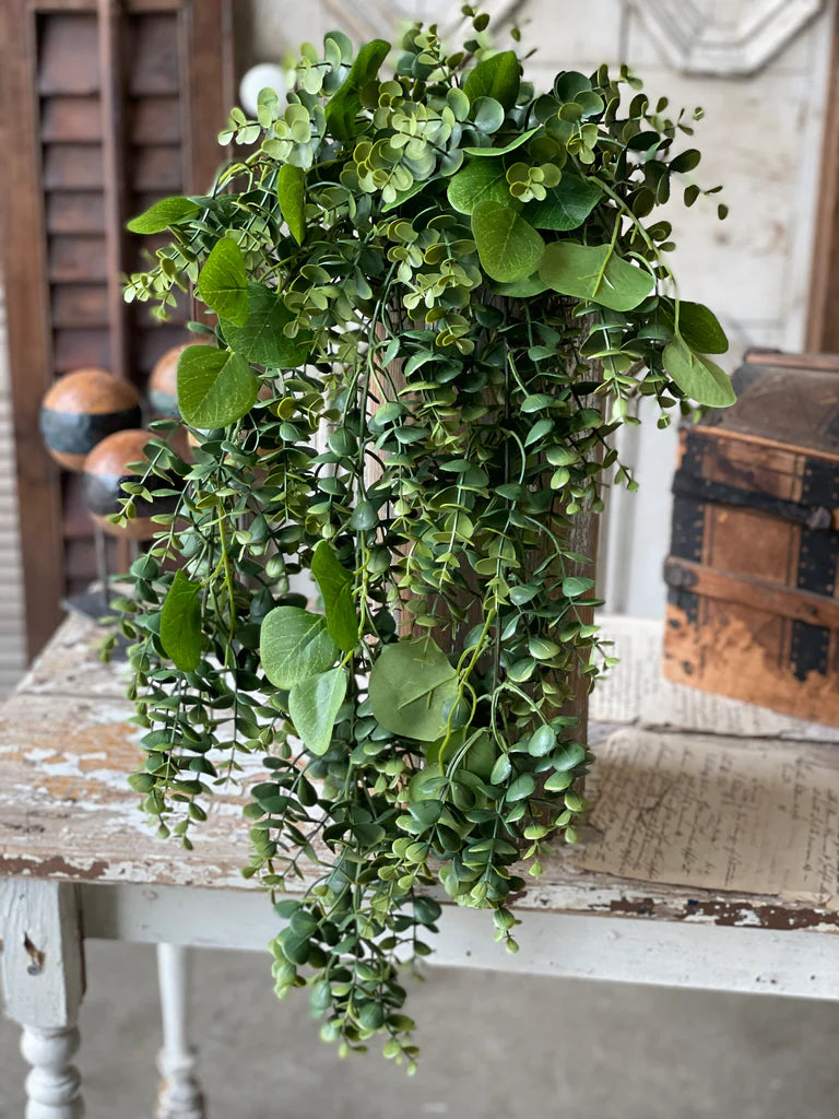 Ashford Eucalyptus Hanging, The Feathered Farmhouse