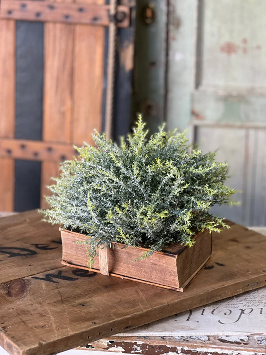 Glitzen Pine Orb, Feathered Farmhouse