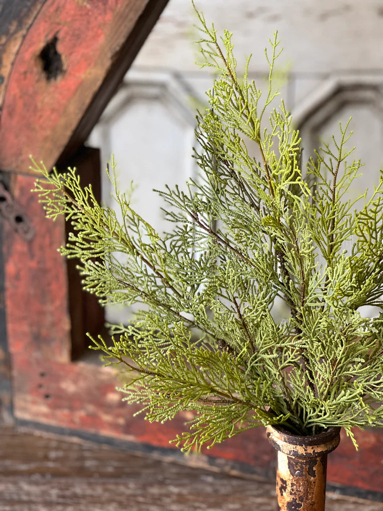 Magnificent Cedar Bush, The Feathered Farmhouse