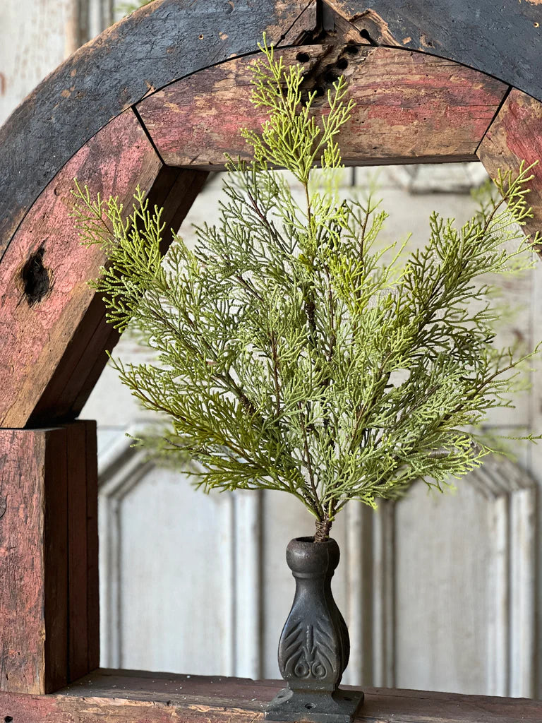 Magnificent Cedar Bush, The Feathered Farmhouse