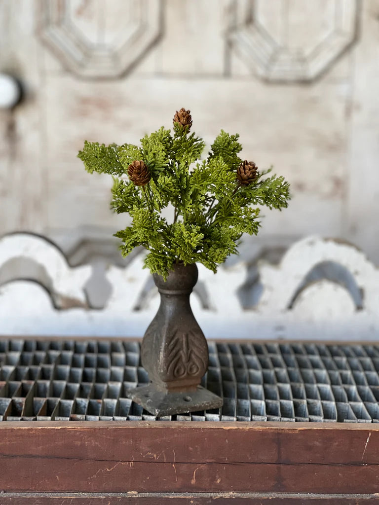 Leyland Cypress Bush, Feathered Farmhouse