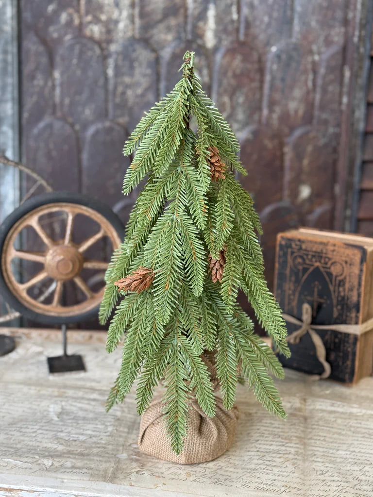 Arden Fir Tree, Feathered Farmhouse