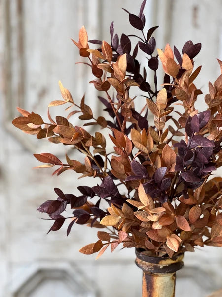 Ombre Woods Bush, Feathered Farmhouse