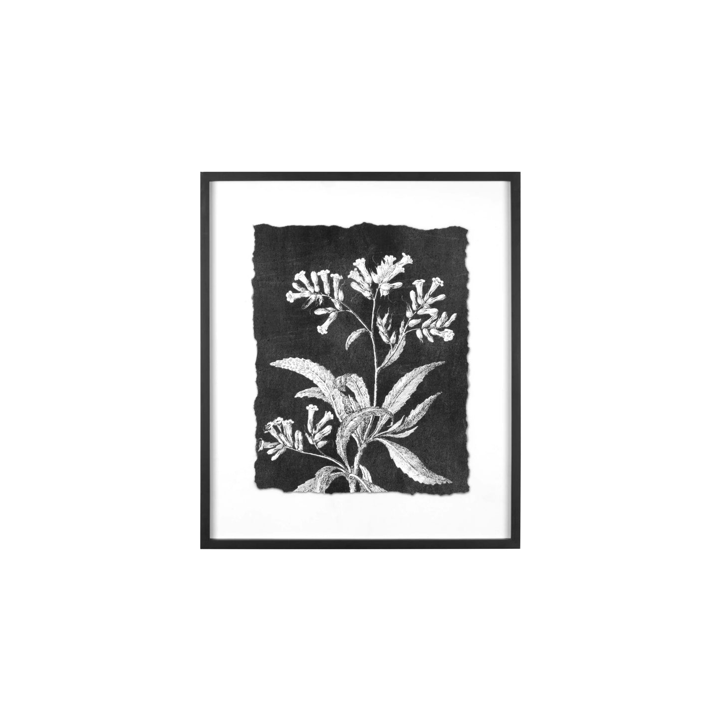 Botanical Print