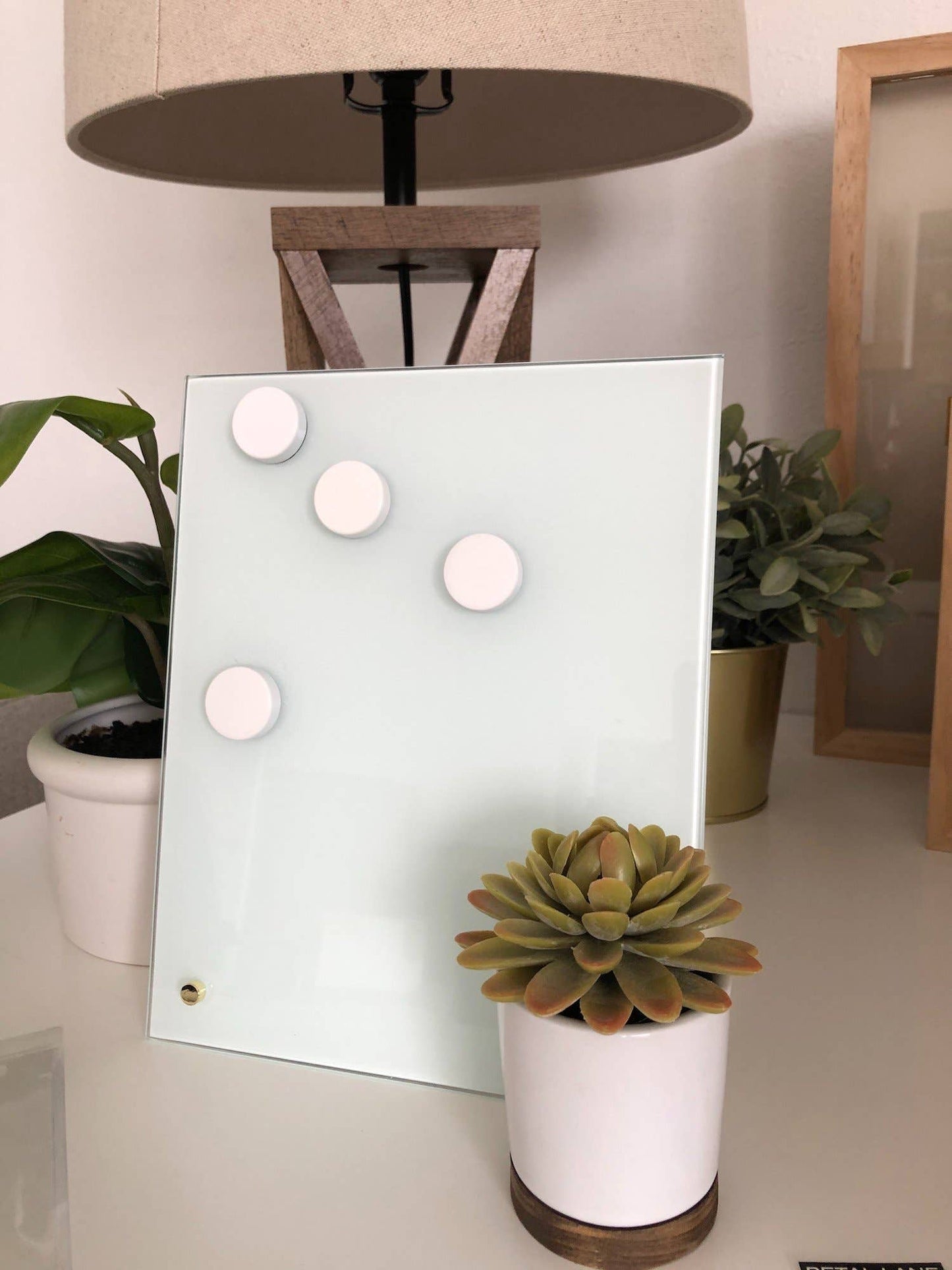 White Neodymium Magnets, The Feathered Farmhouse
