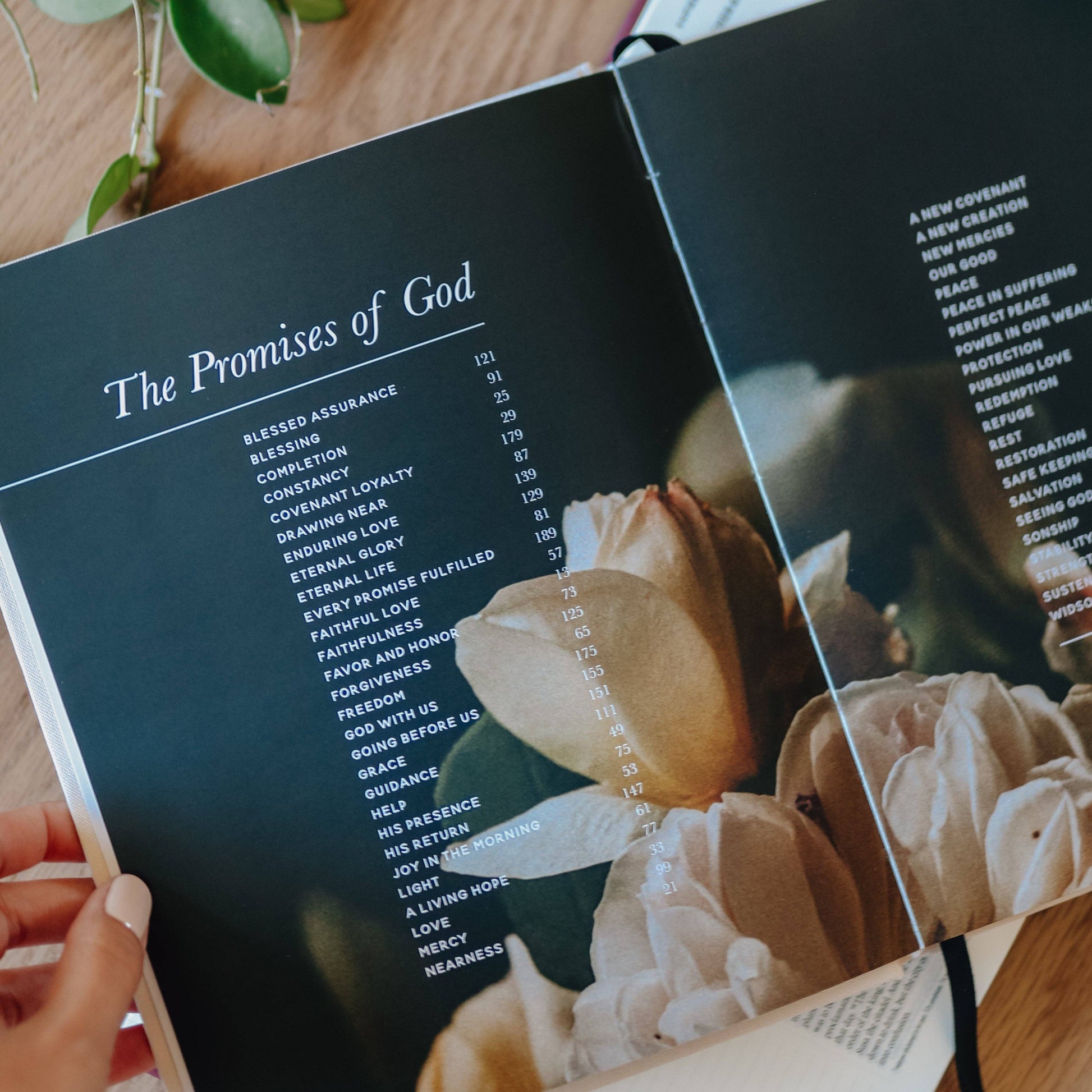 The Promises of God | Coffee Table Book, The Feathered Farmhouse