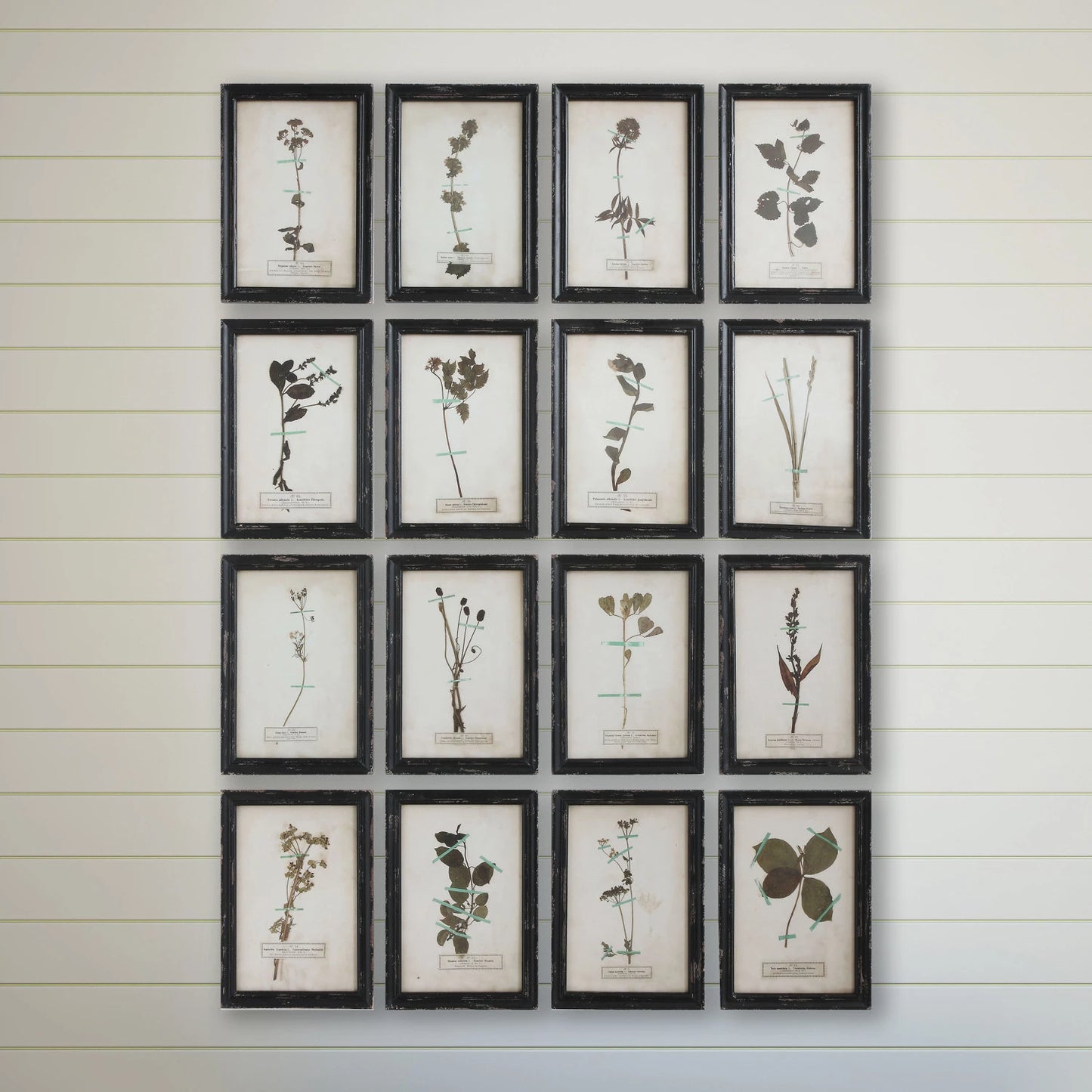 Framed Floral Art, The Feathered Farmhouse