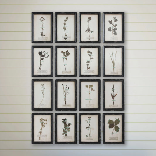 Framed Floral Art, The Feathered Farmhouse