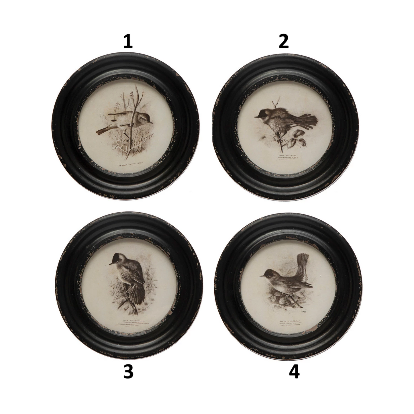 Framed Wall Decor with Bird, Feathered Farmhouse