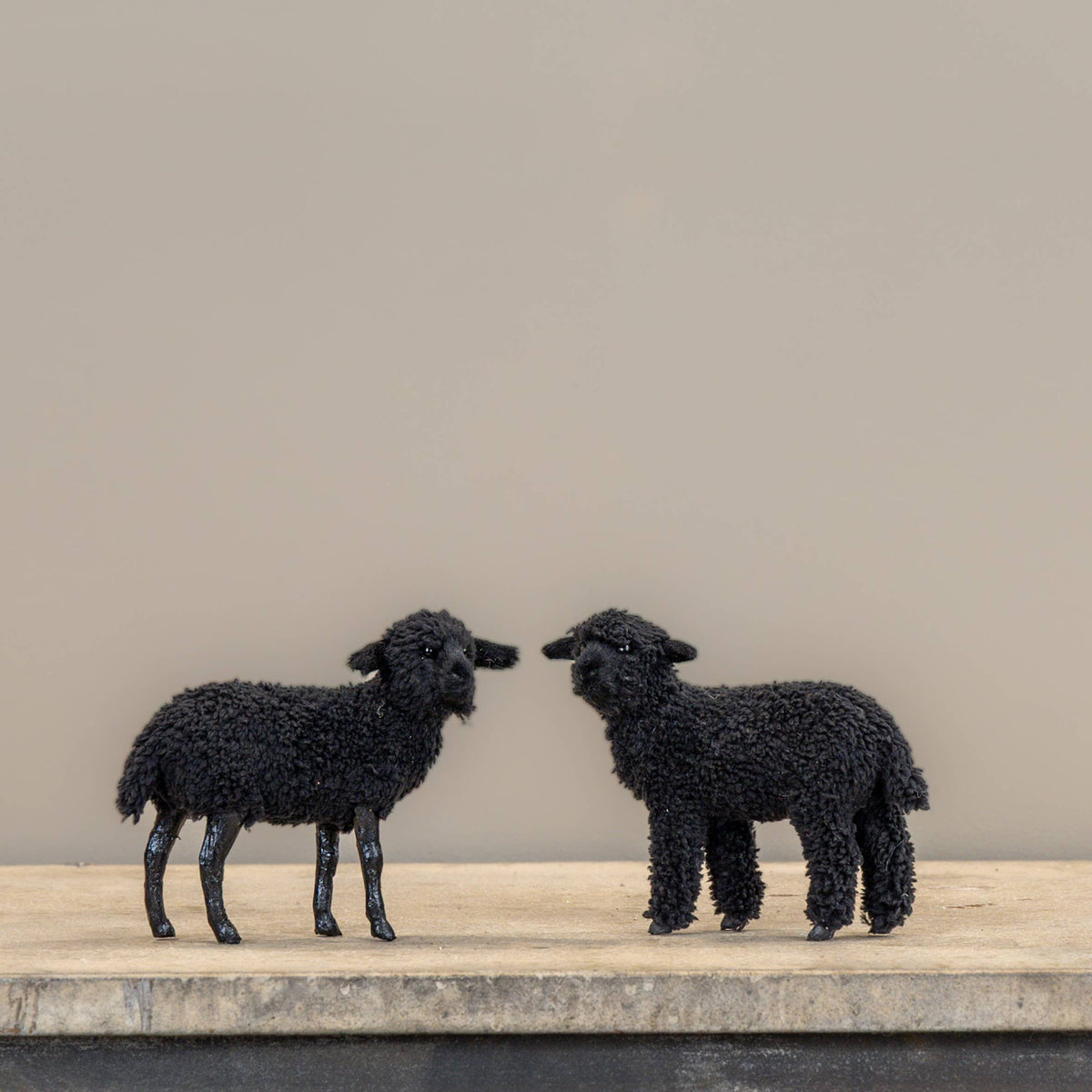 Black Standing Sheep, Feathered Farmhouse