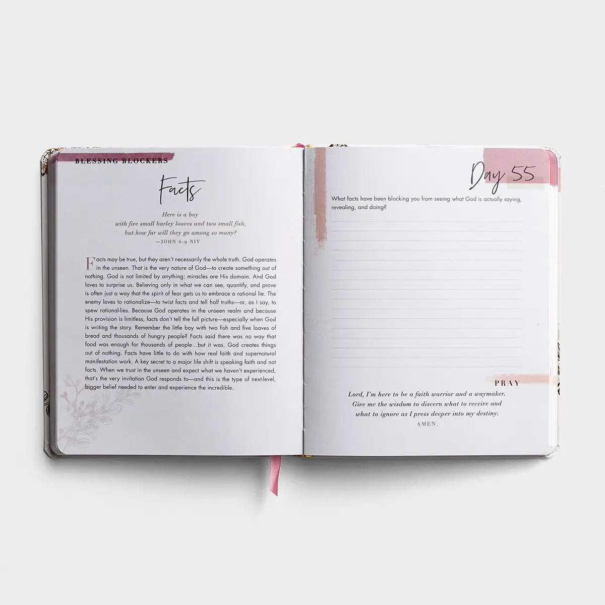 100 Days of Believing Bigger Devotional Journal, Feathered Farmhouse
