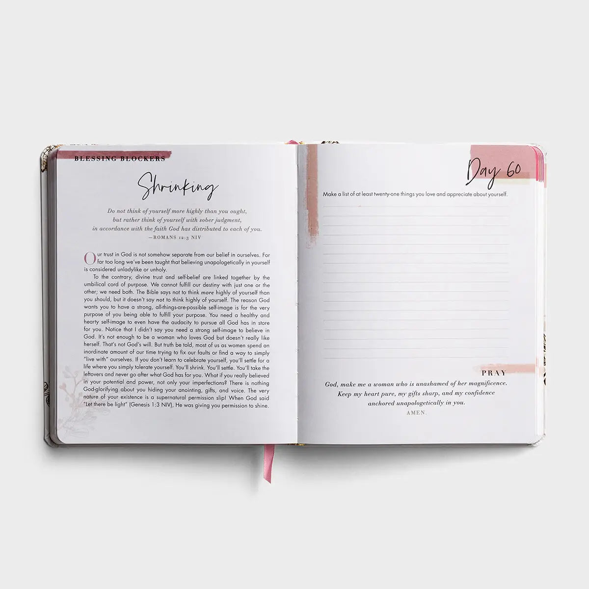 100 Days of Believing Bigger Devotional Journal, Feathered Farmhouse