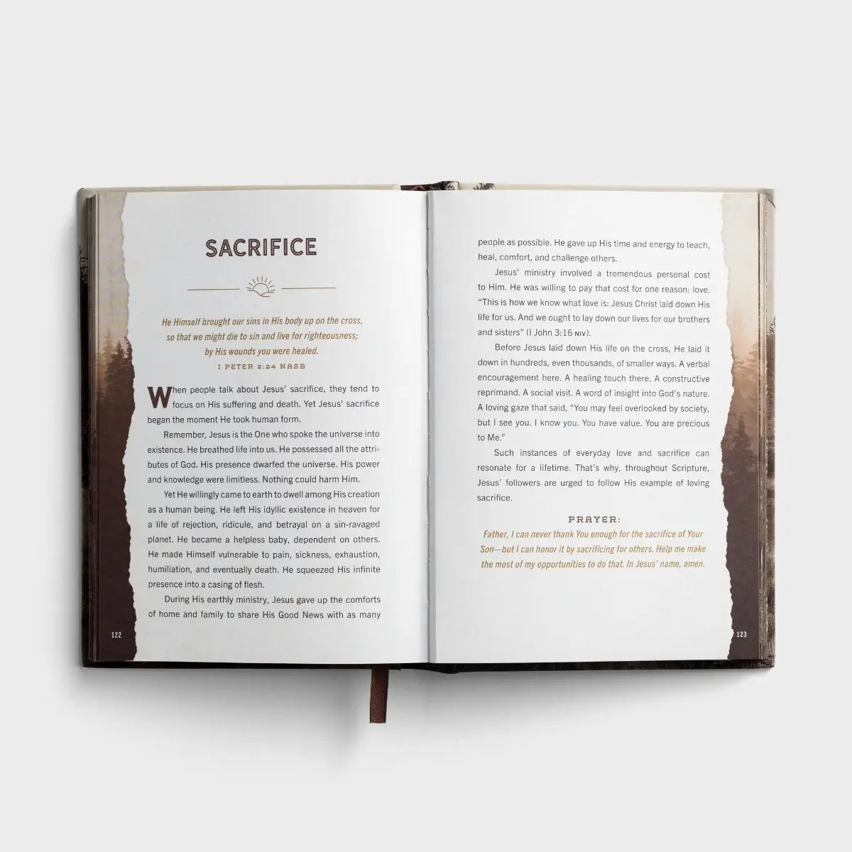 Designed for Greatness: Devotions for Men, Feathered Farmhouse