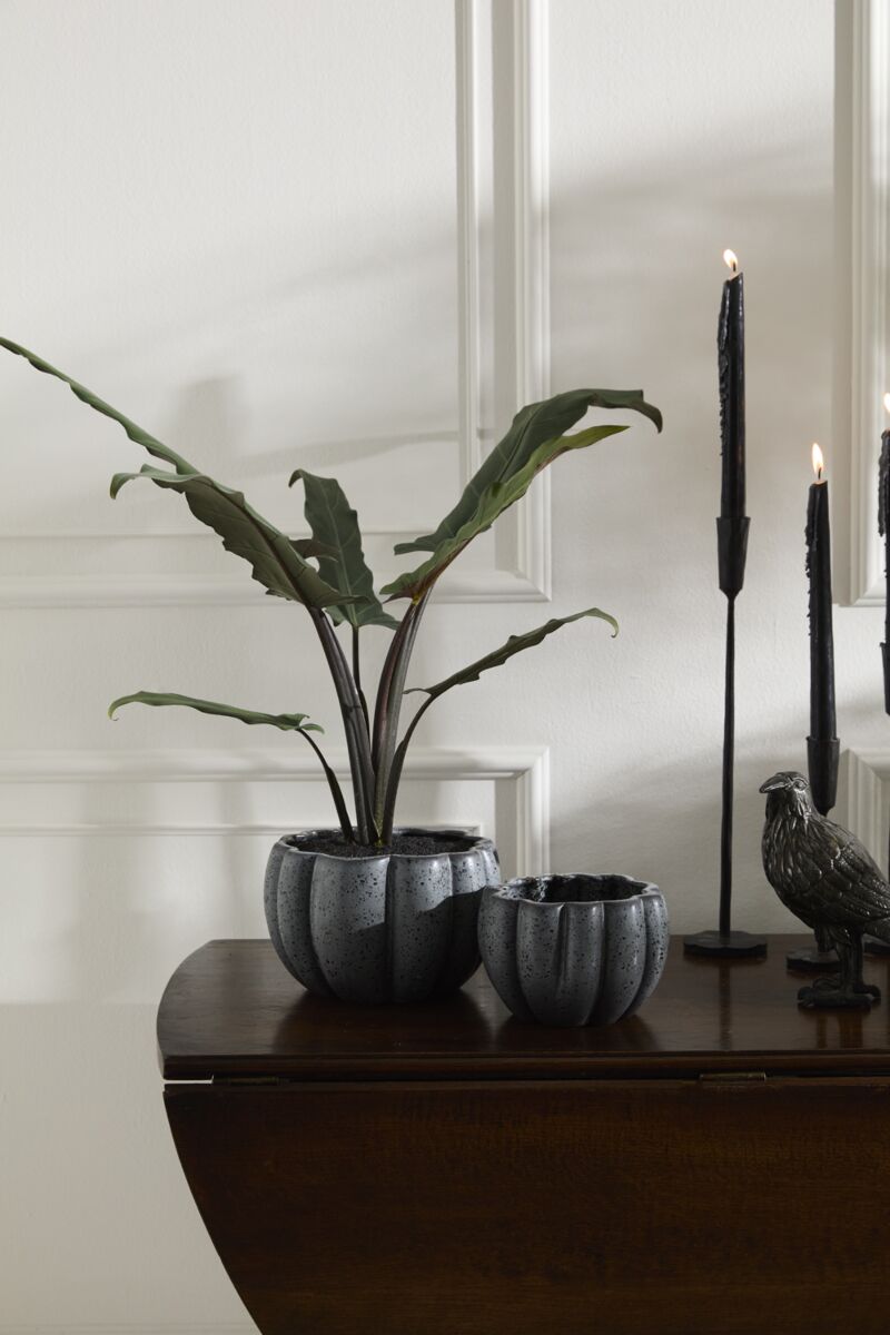 Black Spiced Pumpkin Pot, Feathered Farmhouse