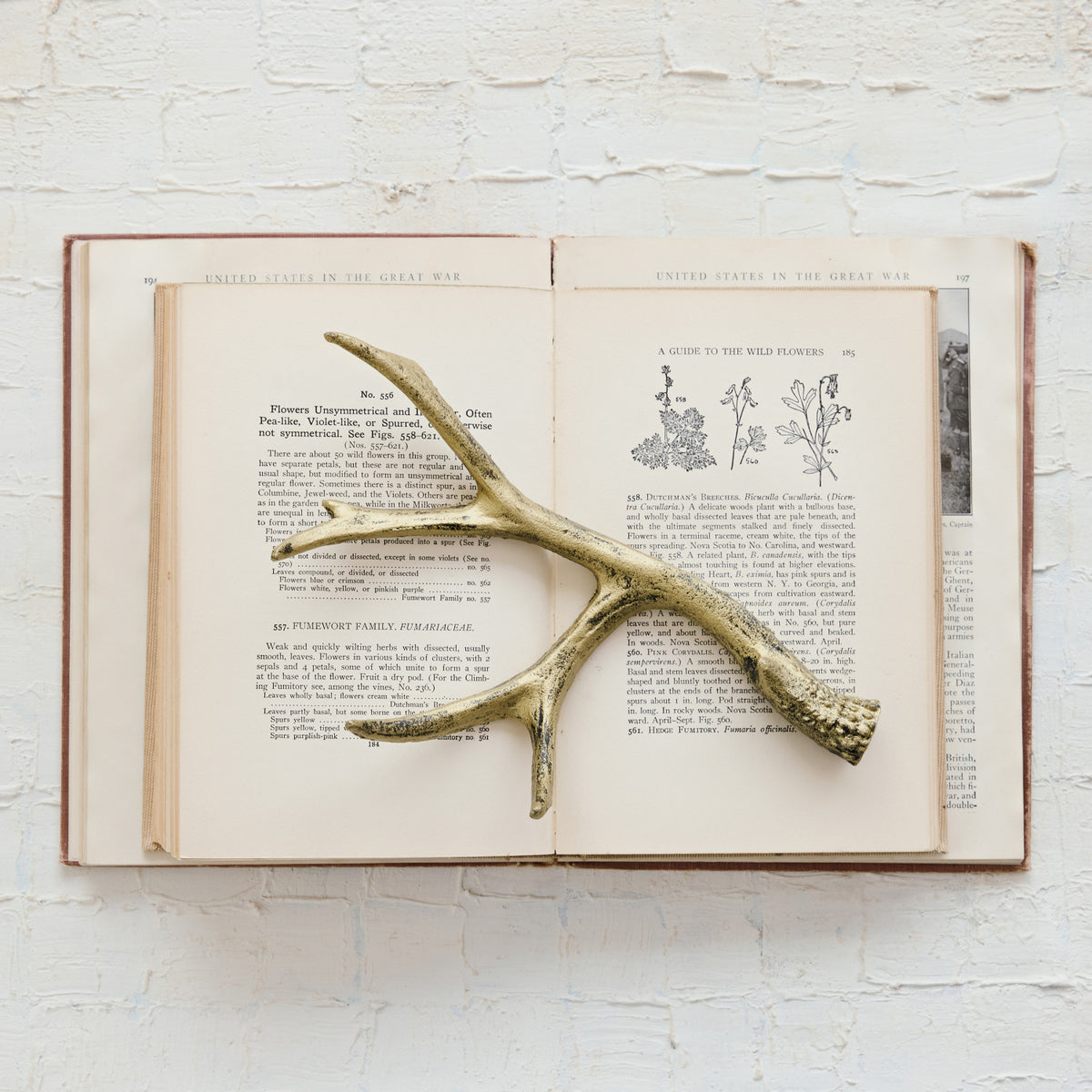 Cast Iron Antler, Feathered Farmhouse