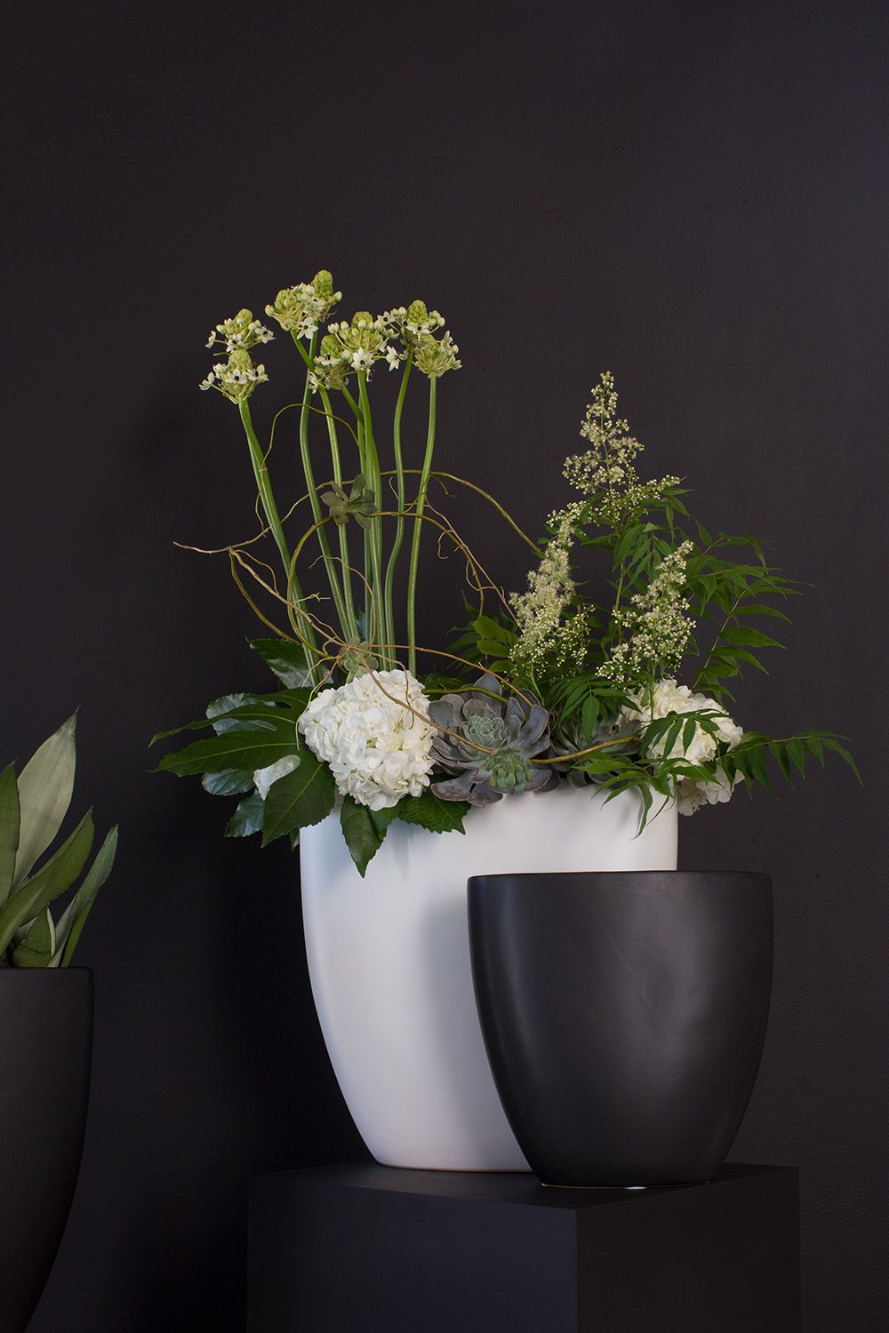 Sasso Vase, The Feathered Farmhouse