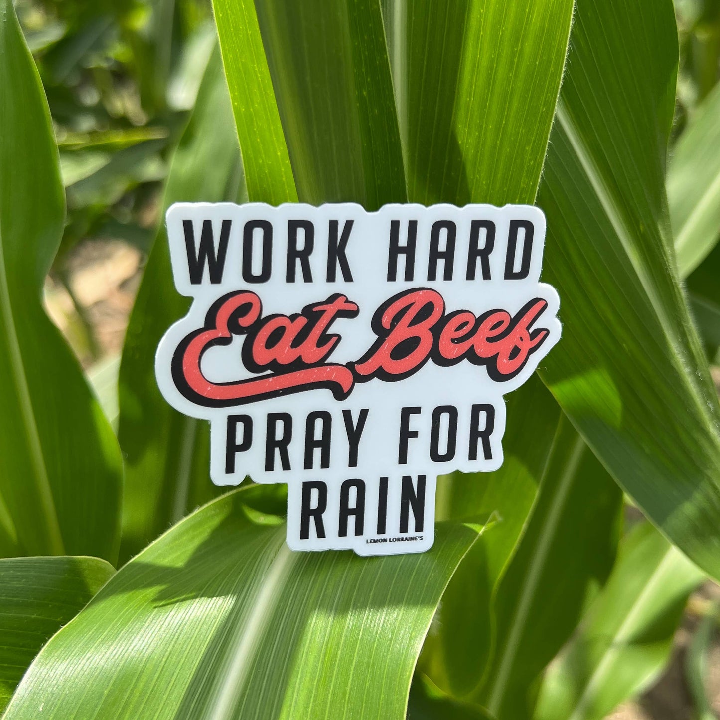 WORK HARD EAT BEEF PRAY FOR RAIN Sticker Decal