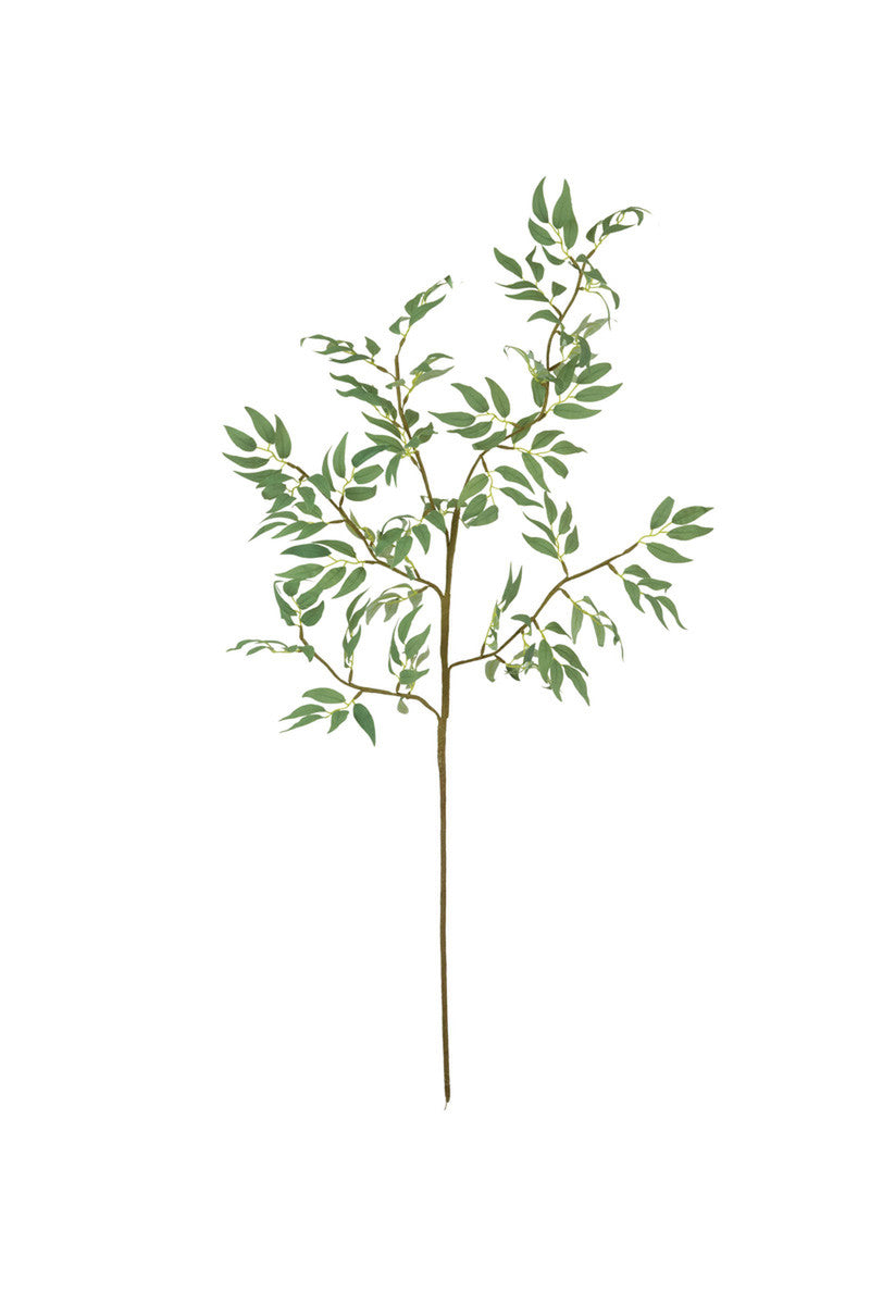 botanical branch with leaves, the feathered farmhouse