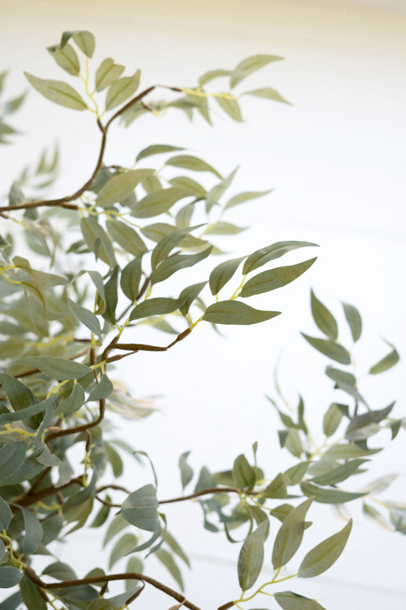 botanical branch with leaves, the feathered farmhouse