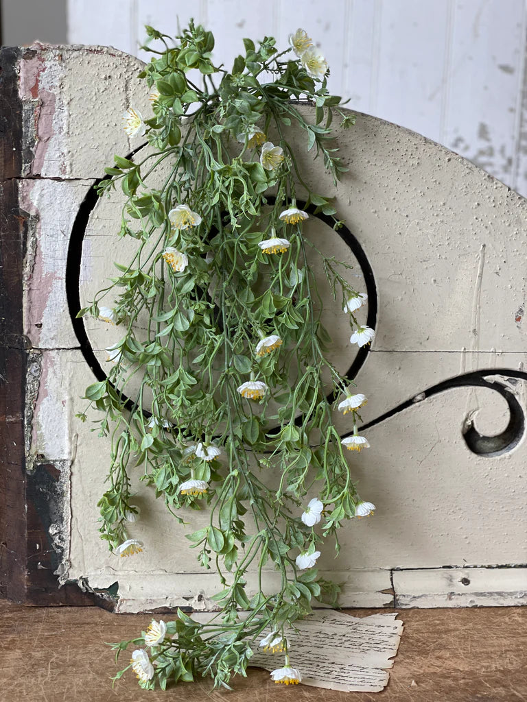 Evening Primrose Hanging, The Feathered Farmhouse
