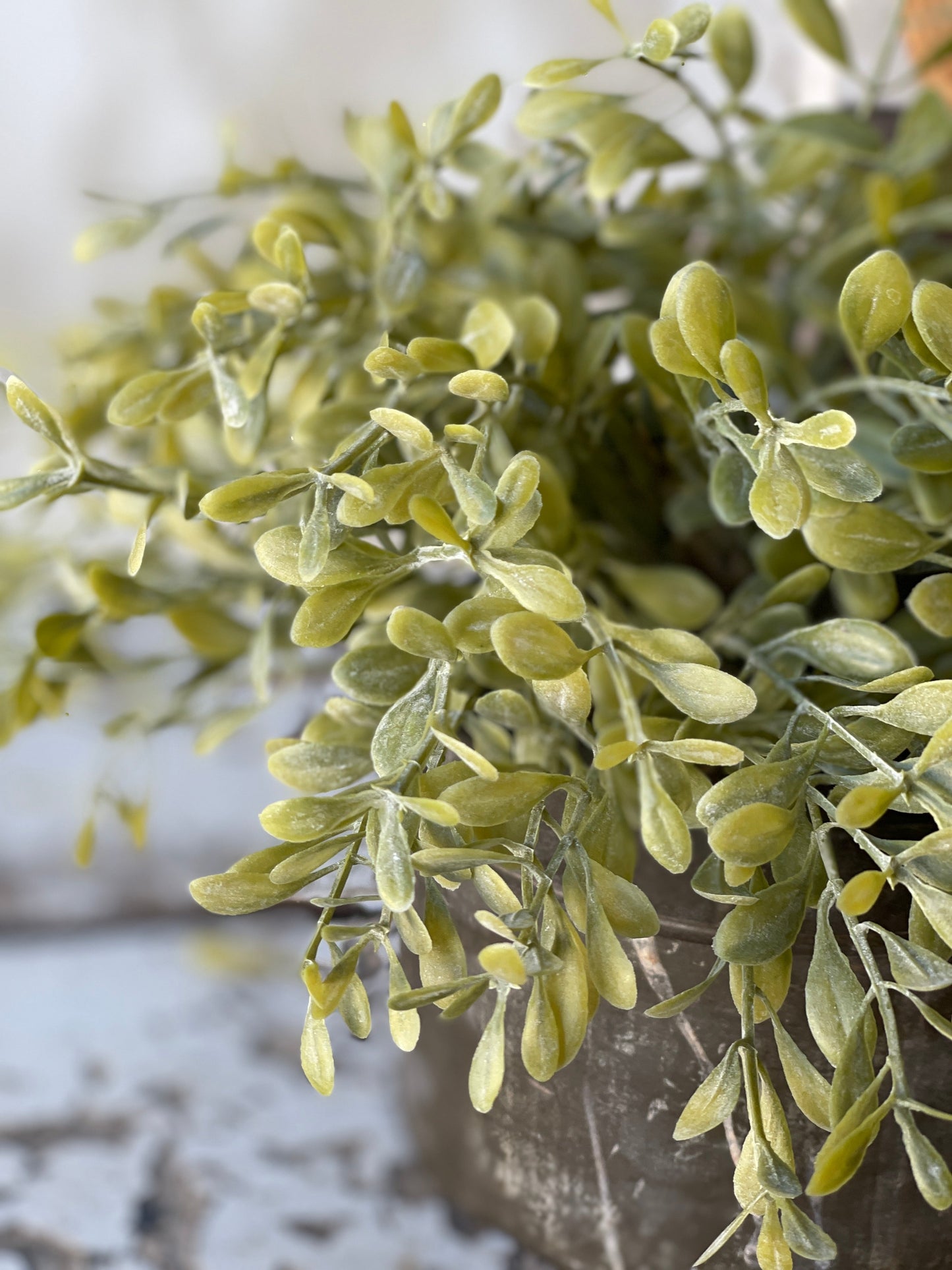 Hedgepath Leaves Half Sphere, The Feathered Farmhouse