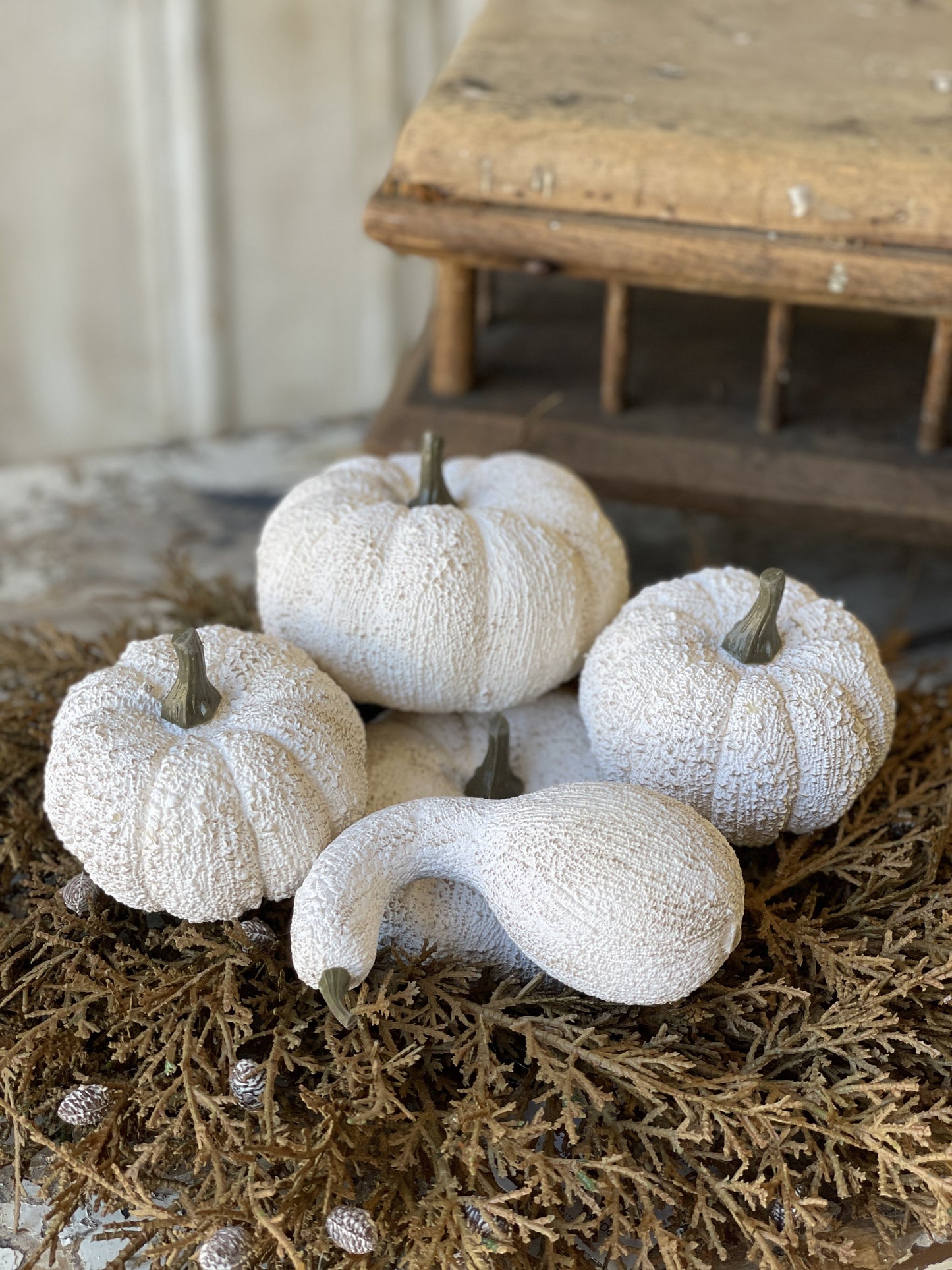 Full Moon Pumpkins, The Feathered Farmhouse