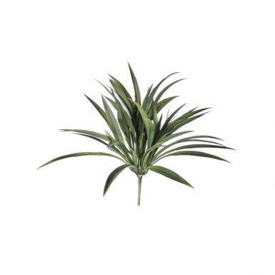 Vanilla Grass Bush 2