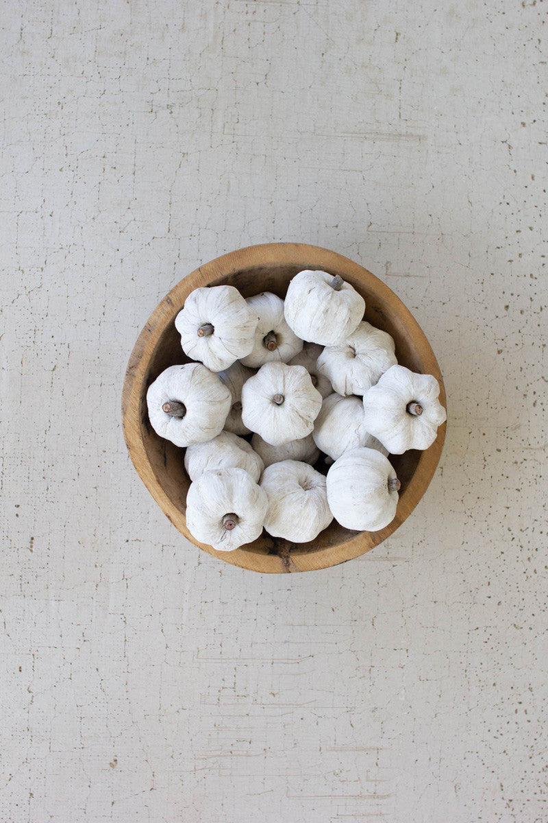 Dried Miniature Pumpkins, The Feathered Farmhouse