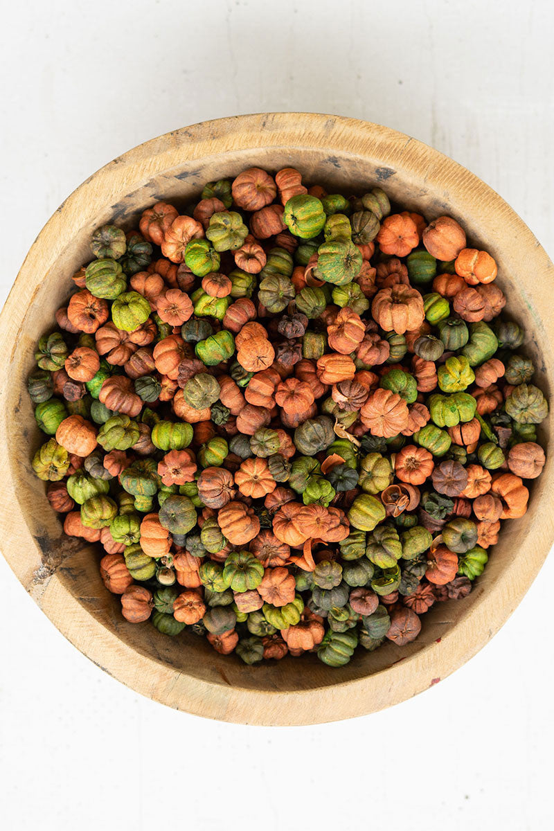 Orange + Green Putka Pods, The Feathered Farmhouse