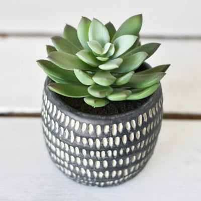 Black Potted Succulent, The Feathered Farmhouse