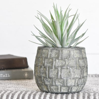 Check Stonewash Planter