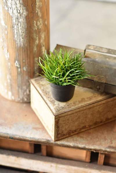 Greenpoint Grass Pot No.1