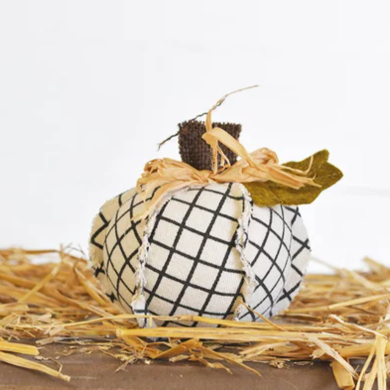 urban pumpkin Feathered Farmhouse