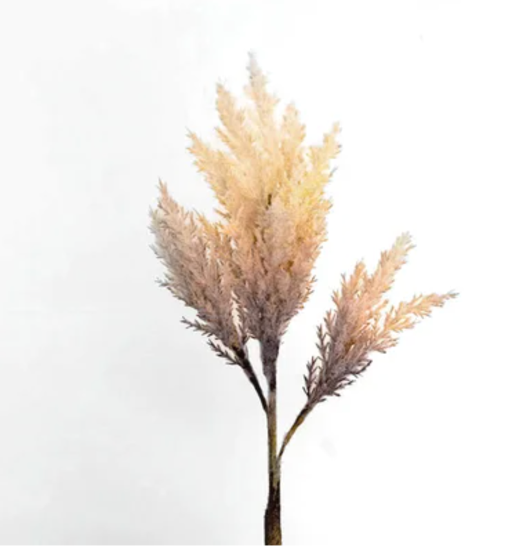 Natural Fluffy Stem, Feathered Farmhouse