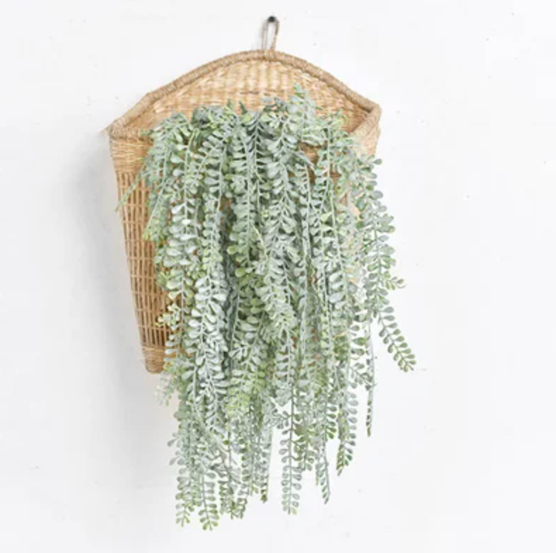 Long Leaf Fern, Feathered Farmhouse