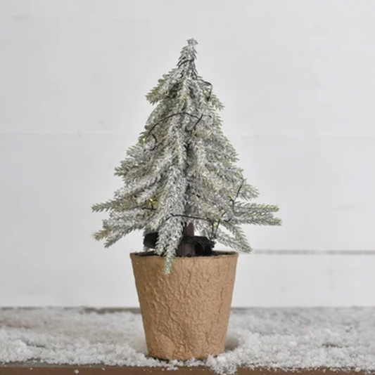 Droop Snow Tree with Lights, Feathered Farmhouse