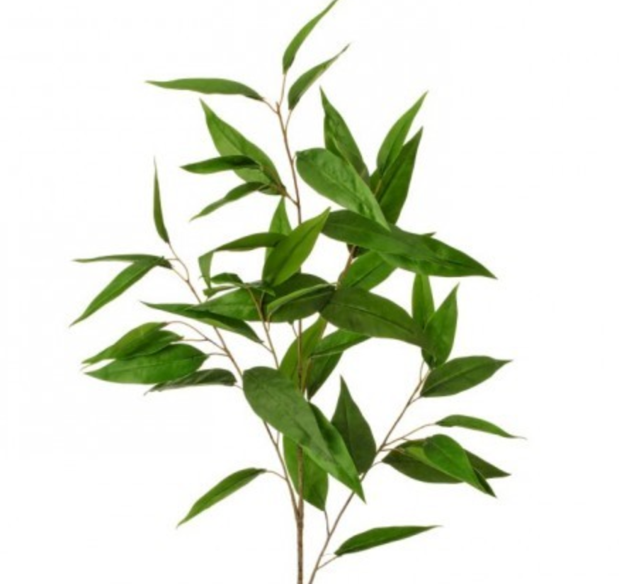 Seed Eucalyptus Spray, The Feathered Farmhouse