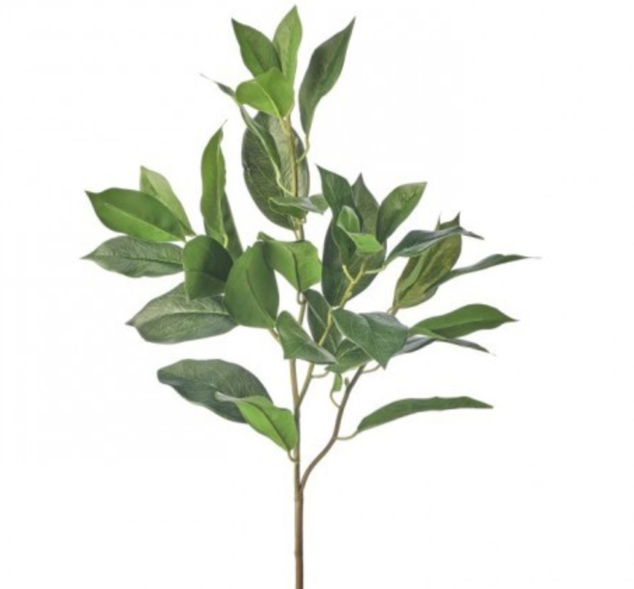 Lemon Leaf Spray, The Feathered Farmhouse