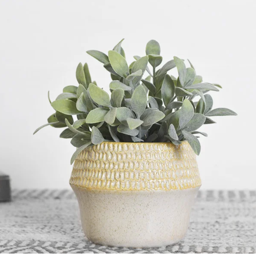 Neutral Dot Planter, The Feathered Farmhouse